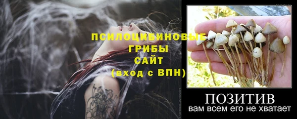 соль курить ск Богданович