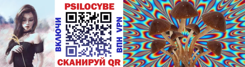 Галлюциногенные грибы Magic Shrooms  Дубовка 