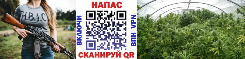 МАРИХУАНА индика Дубовка